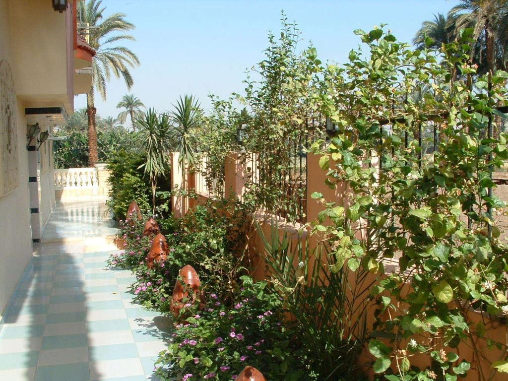 Home Sweet Home Luxor Apartments Lel Agalta Buitenkant foto